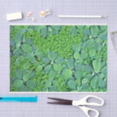 Water plant tissuepapier (Craft)