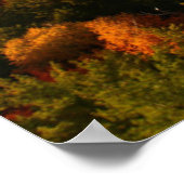 Water | Provinciepark Killarney Canada Poster (Hoek)