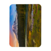 Water Rainier National Park, Washington, VS Magneet (Verticaal)