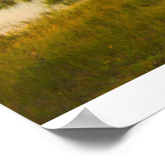 Water Rainier National Park, Washington, VS Poster (Hoek)