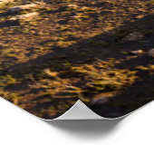 Water | Rhodope-bergen, Bulgarije Poster (Hoek)