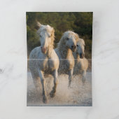 Water Run Horse Wenskaart Kaart (Binnen)