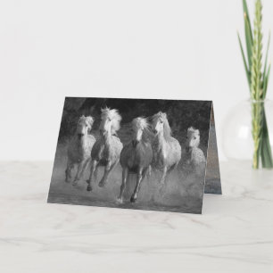 Water Run Horse Wenskaart Kaart