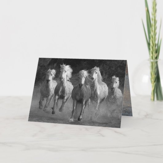 Water Run Horse Wenskaart Kaart (Voorkant)