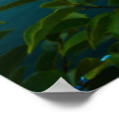 Water San Benedetto Church Lake Garda, Italië Poster (Hoek)