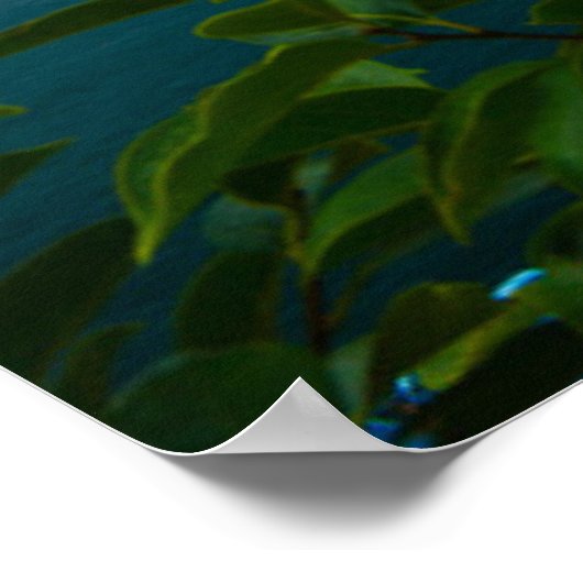 Water San Benedetto Church Lake Garda, Italië Poster (Hoek)