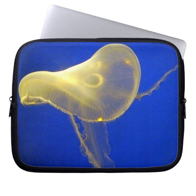 Water Ship 2 Electronics Bag Laptop Sleeve (Voorkant)