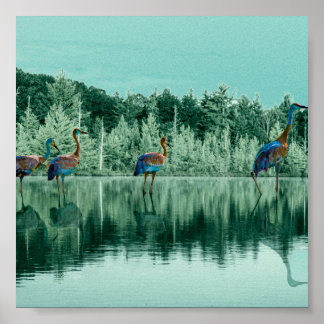 Water Song Poster