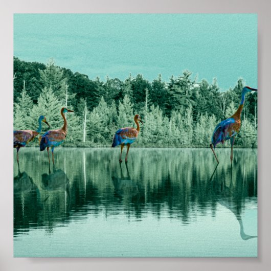 Water Song Poster (Voorkant)