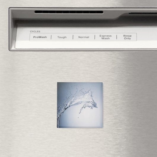 Water Splash Magneet (Insitu (Vaatwasser))