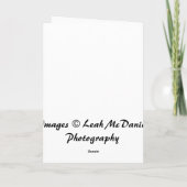 Water to Wine Verjaardag Kaart (Achterkant)