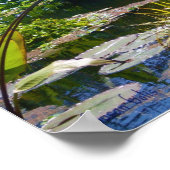 Water Tuin Foto Poster Print (Hoek)