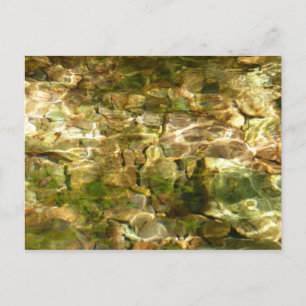 Water uit warme bronnen Groen-Goud Natuur Briefkaart