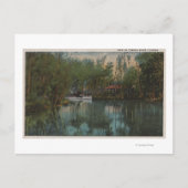 Water Uitzicht Tomoka River & Marsh, Florida Briefkaart (Voorkant)