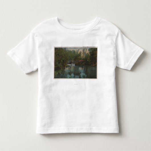 Water Uitzicht Tomoka River & Marsh, Florida Kinder Shirts (Voorkant)