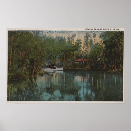 Water Uitzicht Tomoka River & Marsh, Florida Poster (Voorkant)