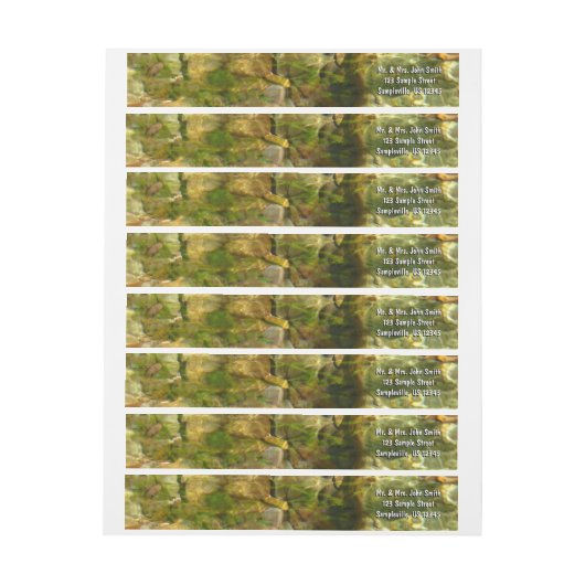 Water van de Natuur van het groene goud van de Hee (Vel)