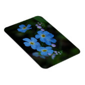 Water Vergeet-me-niet bloemen Magnet Magneet (Rechterzijde)