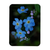 Water Vergeet-me-niet bloemen Magnet Magneet (Verticaal)