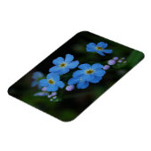 Water Vergeet-me-niet bloemen Magnet Magneet (Linkerzijde)