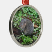 Water Vole Metalen Ornament (Rechts)