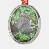 Water Vole Metalen Ornament (Links)