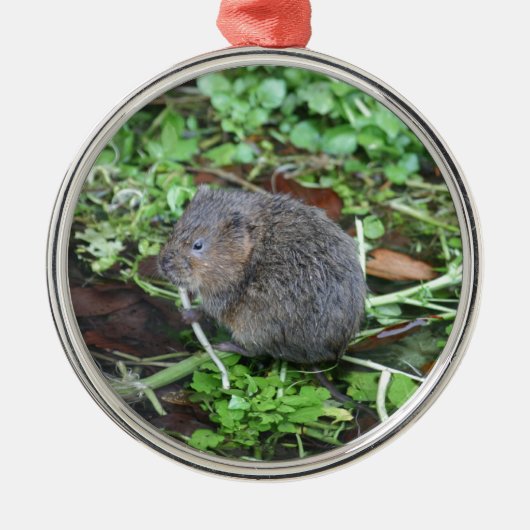 Water Vole Metalen Ornament (Voorkant)