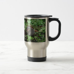Water Vole Reisbeker