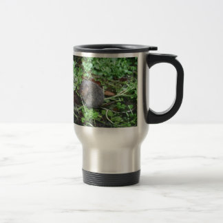 Water Vole Reisbeker