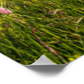 Water | Zwitserse Alpen — Voetpad Poster (Hoek)