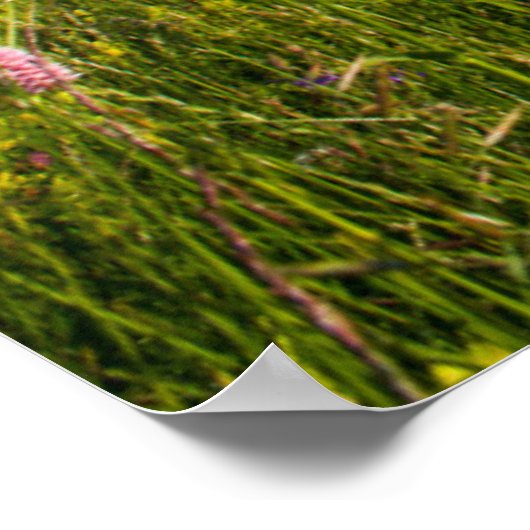 Water | Zwitserse Alpen — Voetpad Poster (Hoek)