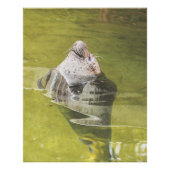 waterafdichting foto afdruk (Voorkant)