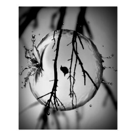 Waterappelvogel Perfect Poster