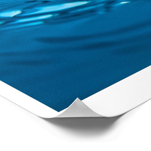 Waterasiel Poster (Hoek)