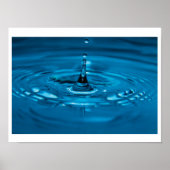 Waterasiel Poster (Voorkant)