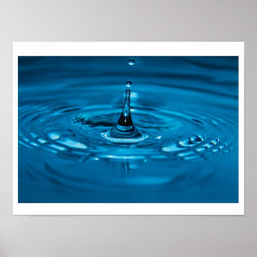 Waterasiel Poster (Voorkant)