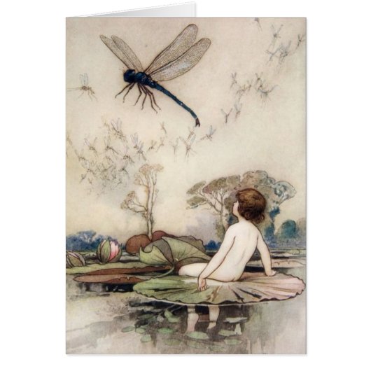  - waterbaby's, (Voorkant)