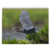 Waterbirds 4 kalender (Hoes)