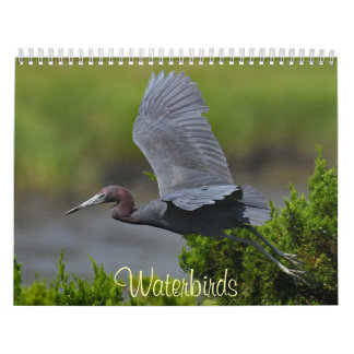 Waterbirds 4 kalender