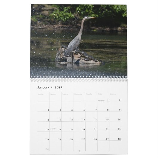 Waterbirds 4 kalender (Jan 2027)