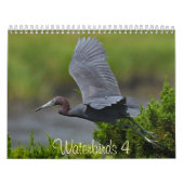 Waterbirds 4 kalender (Hoes)