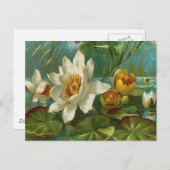 , waterbloem, vrouw verjaardag briefkaart (Voorkant / Achterkant)