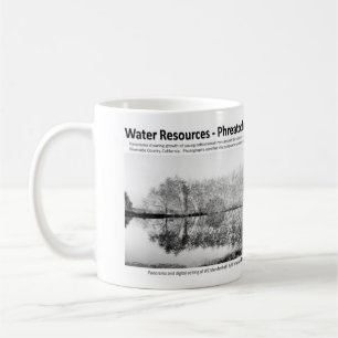 Waterbronnen I - Phreatophytes on Landscape Koffiemok