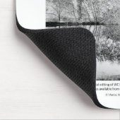 Waterbronnen I - Phreatophytes on Landscape Muismat (Hoek)