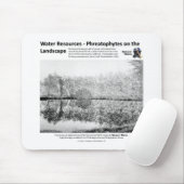 Waterbronnen I - Phreatophytes on Landscape Muismat (Met muis)