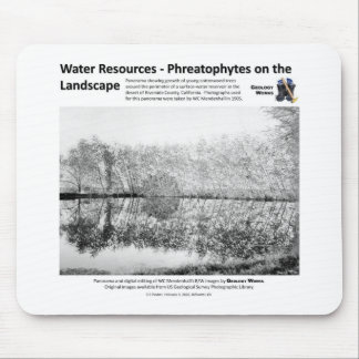 Waterbronnen I - Phreatophytes on Landscape Muismat