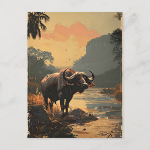 Waterbuffel  briefkaart