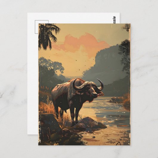 Waterbuffel  briefkaart (Voorkant / Achterkant)