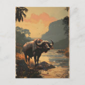 Waterbuffel  briefkaart (Voorkant)