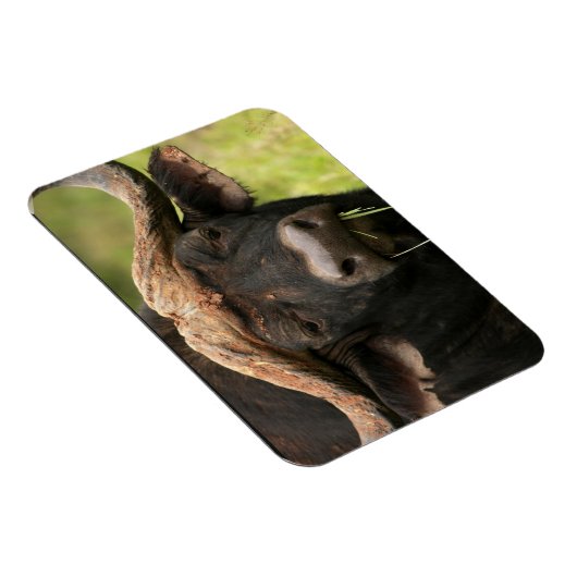 Waterbuffel flexibele magneet (Rechterzijde)